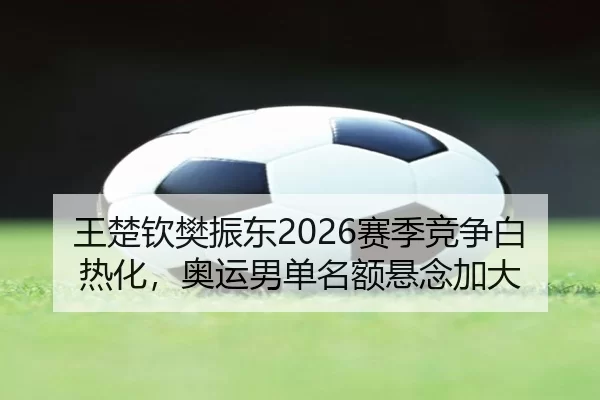 王楚钦樊振东2026赛季竞争白热化，奥运男单名额悬念加大